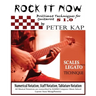 Brilliant Techniques for Guitarist S1.0: Rock It Now