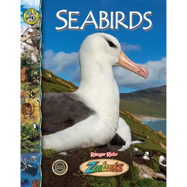 Seabirds