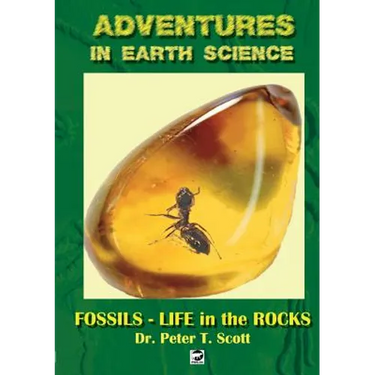 Fossils- Life in the Rocks