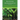 Recovery Monographs Volume I: Revolutionizing the ways that behavioral health leaders think about people with substance use disorders