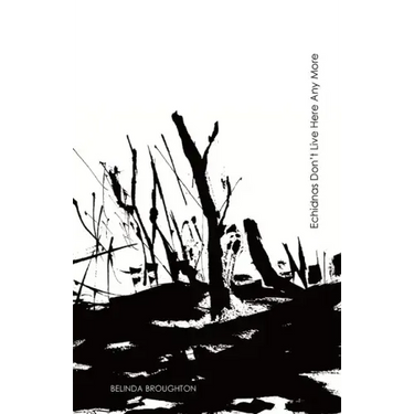 Echidnas Don't Live Here Any More: Poems of loss and recovery since the Black Summer bushfires