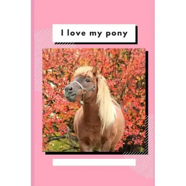 I Love My Pony: Write and Draw About Your Pony