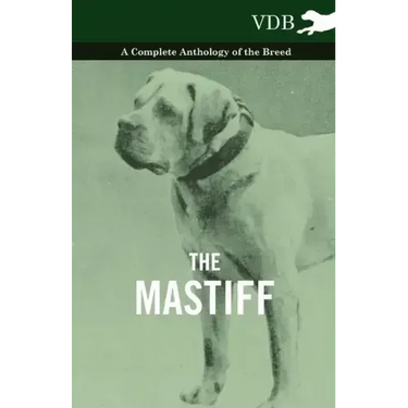 The Mastiff - A Complete Anthology of the Breed