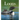 Loons: The Iconic Waterbirds