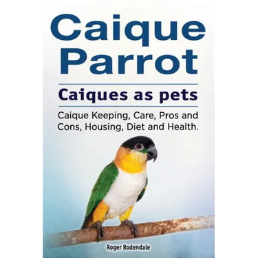Caique parrot. Caiques as pets. Caique Keeping, Care, Pros and Cons, Housing, Diet and Health.