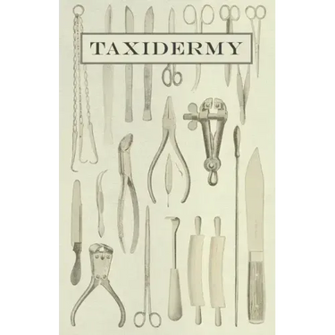 Taxidermy