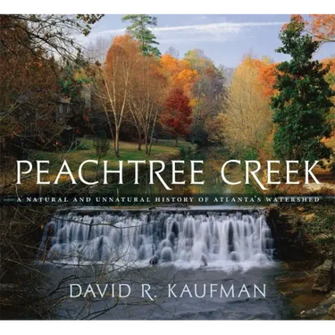 Peachtree Creek: A Natural and Unnatural History of Atlanta's Watershed