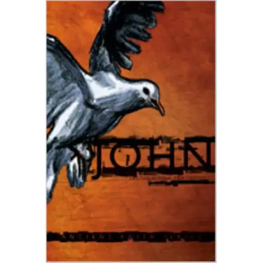 John: Lectio Divina for Youth
