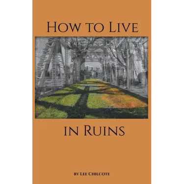 How to Live in Ruins