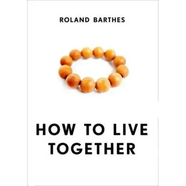 How to Live Together: Novelistic Simulations of Some Everyday Spaces