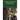 The Apparel and Uniform of the Order of Saint Lazarus throughout the ages