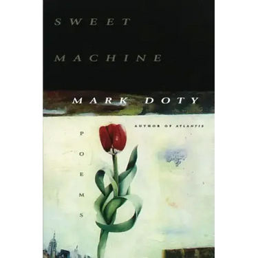 Sweet Machine