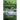 Downstream