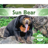Sun Bear