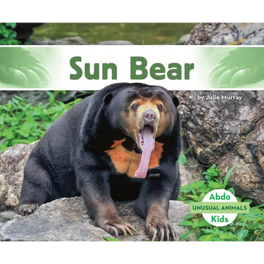 Sun Bear