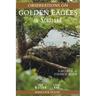 Observations of Golden Eagles in Scotland: A Historical and Ecological Review