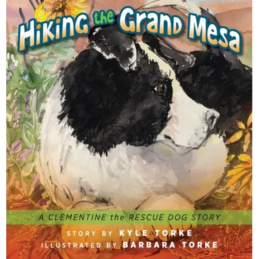Hiking the Grand Mesa: A Clementine the Rescue Dog Story