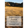Embedded Amber: Soul- in Search of the Solace