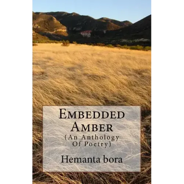 Embedded Amber: Soul- in Search of the Solace