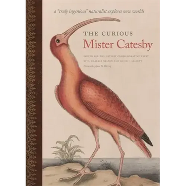 The Curious Mister Catesby: A Truly Ingenious Naturalist Explores New Worlds