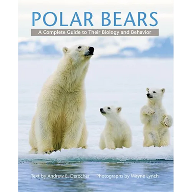 Polar Bears: A Complete Guide to Their Biology and Behavior