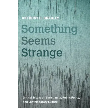 Something Seems Strange: Critical Essays on Christianity, Public Policy, and Contemporary Culture