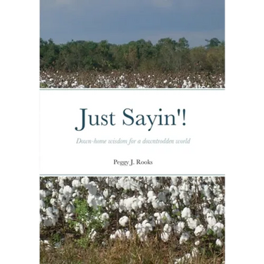 Just Sayin'!: Down-home wisdom for a downtrodden world