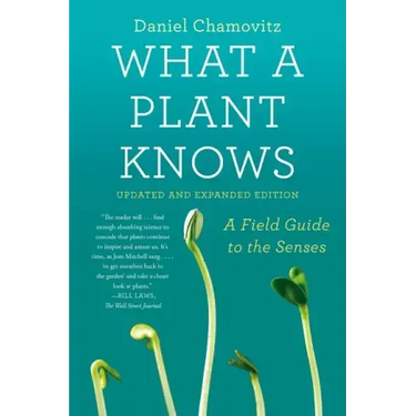 What a Plant Knows: A Field Guide to the Senses: Updated and Expanded Edition