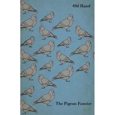 The Pigeon Fancier