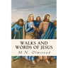 Walks and Words of Jesus