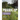 Prairie Up: An Introduction to Natural Garden Design