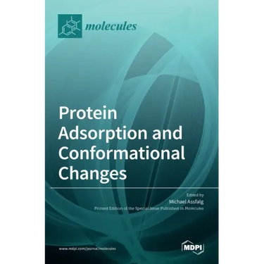 Protein Adsorption and Conformational Changes