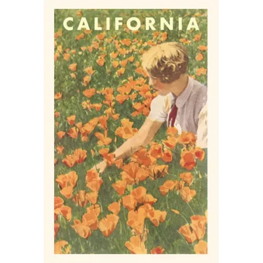 The Vintage Journal Woman sitting in Field of California Poppies