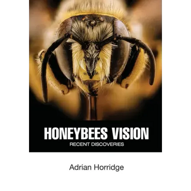 Honeybees Vision: Recent Discoveries