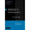 Hegel's Phenomenology of Spirit: A Critical Guide