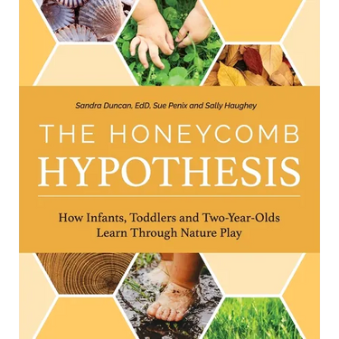The Honeycomb Hypothesis: How Infants, Toddlers and Two-Year- Olds Learn Through Nature Play