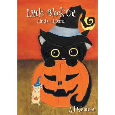 Little Black Cat Finds a Home