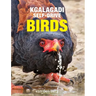 Kgalagadi Self-Drive Birds