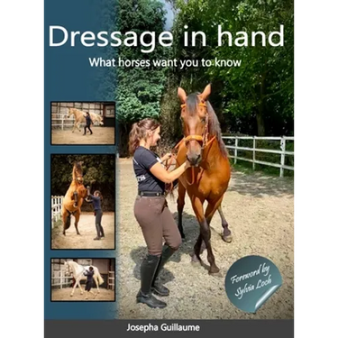 Dressage in hand: What horses want you to know