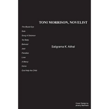 Toni Morrison, Novelist
