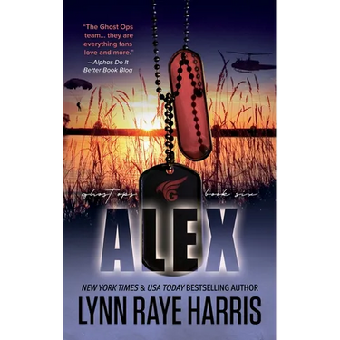 Alex: A Small Town, Enemies to Lovers, Military Protector Romance