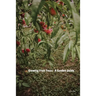 Growing Fruit Trees: A Garden Guide