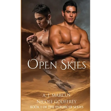 Open Skies