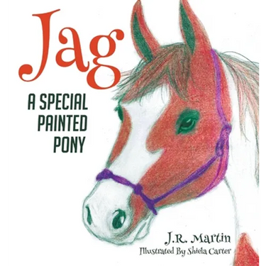 Jag: A Special Painted Pony