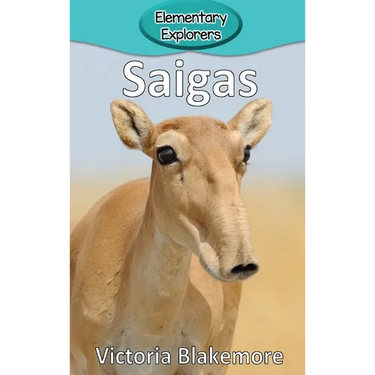 Saigas