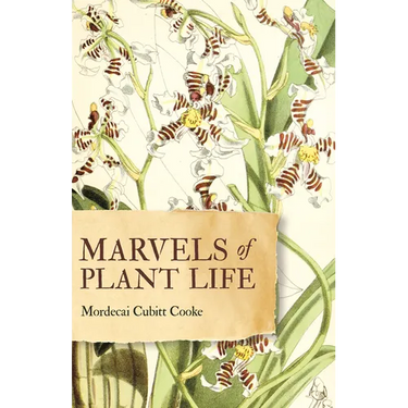 Marvels of Plant Life: Curiosities of Vegetation