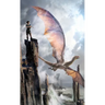 The Harper Hall Trilogy: Dragonsong; Dragonsinger; Dragondrums