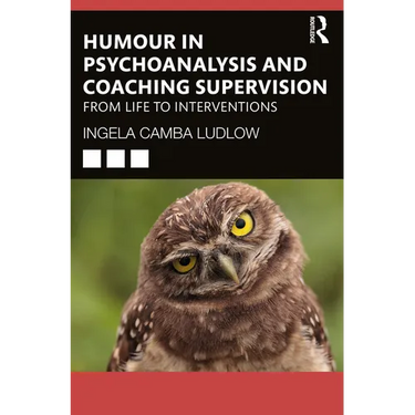 Humour in Psychoanalysis and Coaching Supervision: From Life to Interventions