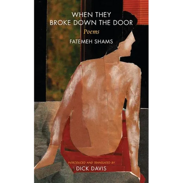 When They Broke Down The Door: Poems