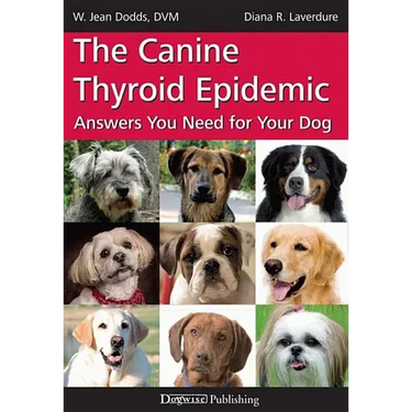 The Canine Thyroid Epidemic: Answers You Need for Your Dog